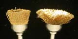 Soft-bristle Dremel Brass Brush